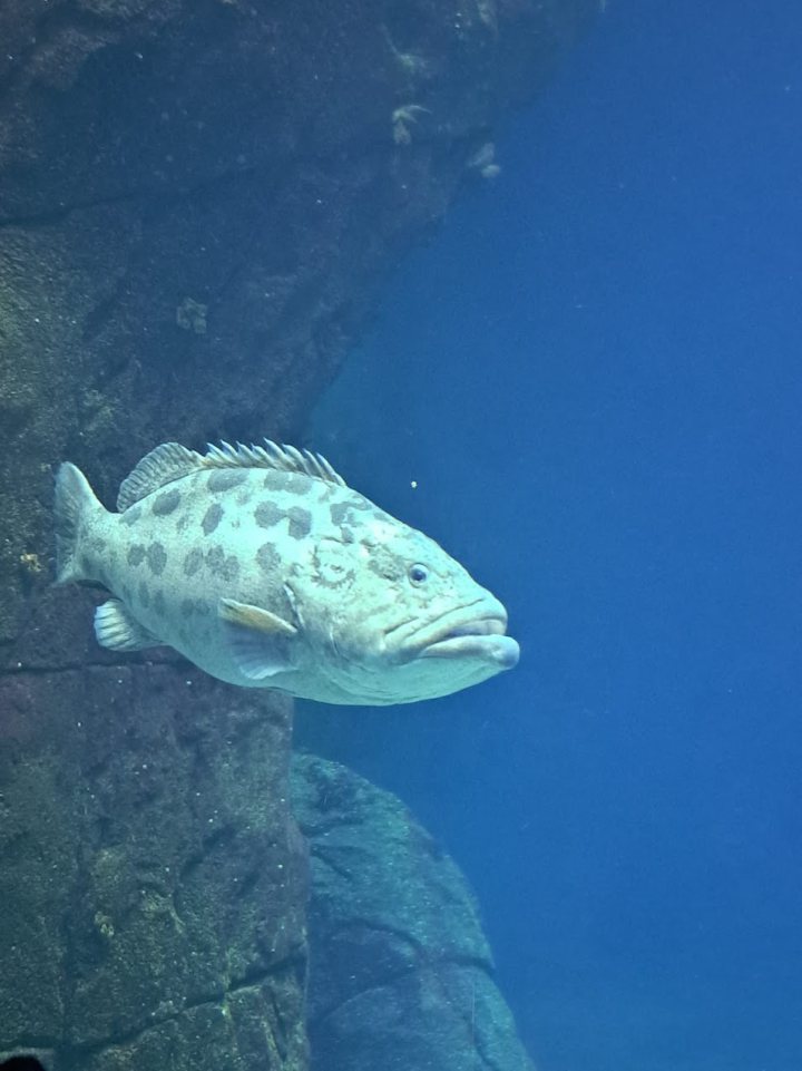 IMG 20261003 WA0089